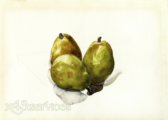 Charles Demuth - Drei Birnen - Three Pears